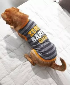 Frisco Zero Barks Given Dog & Cat T-Shirt -The Frisco Store 248838 PT7. SY630 V1644451885