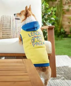 Frisco Leader of the Pack Dog & Cat Hoodie -The Frisco Store 248905 PT5. SY630 V1637682701