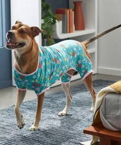 Frisco Teal Floral Dog & Cat Jersey PJs -The Frisco Store 249132 PT7. SY630 V1614376401
