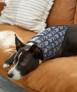 Frisco Boho Reversible Dog & Cat Bandana -The Frisco Store 249137 PT5. SY630 V1637659054