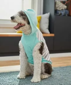 Frisco Striped Colorblock Dog & Cat Hoodie, Teal -The Frisco Store 249146 PT7. SY630 V1614105034