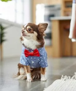 Frisco Polka Dot Chambray Dog & Cat Button Up Shirt 16 Frisco Polka Dot Chambray Dog & Cat Button Up Shirt -The Frisco Store 249161 PT6. SY630 V1624613869