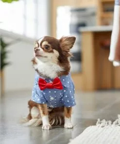 Frisco Polka Dot Chambray Dog & Cat Button Up Shirt 17 Frisco Polka Dot Chambray Dog & Cat Button Up Shirt -The Frisco Store 249161 PT7. SY630 V1614104808