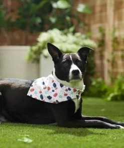 Frisco Colorful Terrazzo Dog & Cat Bandana -The Frisco Store 249200 PT4. SY630 V1637644381