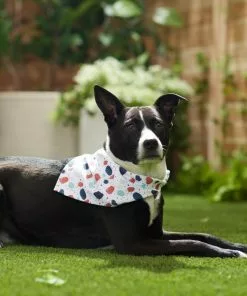 Frisco Colorful Terrazzo Dog & Cat Bandana -The Frisco Store 249200 PT5. SY630 V1614612884