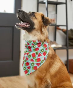 Frisco Fruity Summer Dog & Cat Bandana -The Frisco Store 249204 PT4. SY630 V1637668676