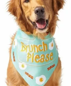 Frisco Brunch Please Dog & Cat Bandana -The Frisco Store 249207 PT2. SY630 V1637720586