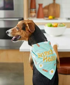 Frisco Brunch Please Dog & Cat Bandana -The Frisco Store 249207 PT4. SY630 V1637671044