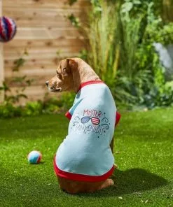 Frisco Mister Independent Dog & Cat T-Shirt 12 Frisco Mister Independent Dog & Cat T-Shirt -The Frisco Store 249237 PT4. SY630 V1624612960