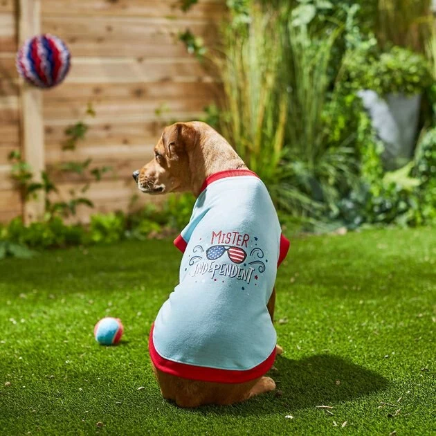 Frisco Mister Independent Dog & Cat T-Shirt 7 Frisco Mister Independent Dog & Cat T-Shirt - Image 5