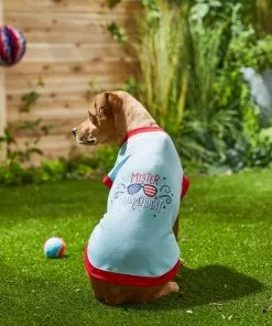 Frisco Mister Independent Dog & Cat T-Shirt 13 Frisco Mister Independent Dog & Cat T-Shirt -The Frisco Store 249237 PT7. SY630 V1614362555