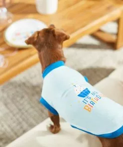 Frisco It's My Birthday & Cat T-Shirt, Blue -The Frisco Store 249248 PT7. SY630 V1614289400