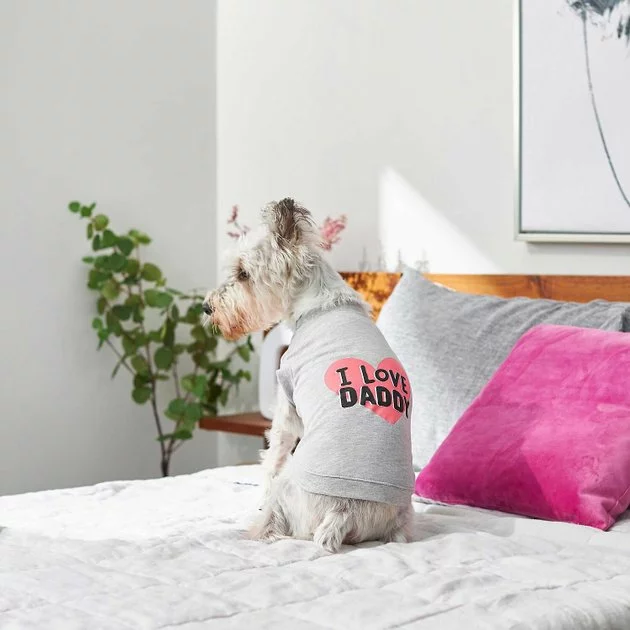 Frisco I Love Daddy Dog & Cat T-Shirt, Gray 7 Frisco I Love Daddy Dog & Cat T-Shirt, Gray - Image 5