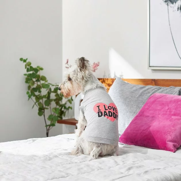 Frisco I Love Daddy Dog & Cat T-Shirt, Gray 8 Frisco I Love Daddy Dog & Cat T-Shirt, Gray - Image 6