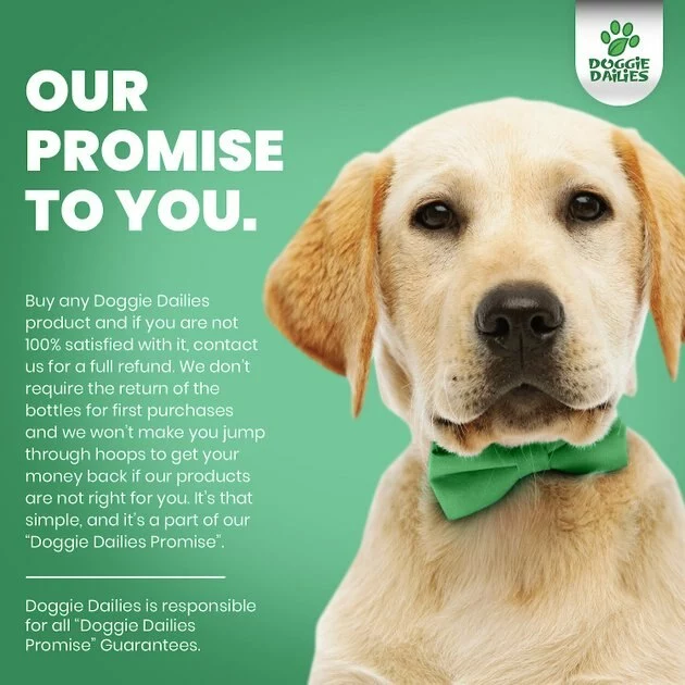 Frisco I Love Mommy Dog & Cat T-Shirt, Gray 9 Frisco I Love Mommy Dog & Cat T-Shirt, Gray - Image 7