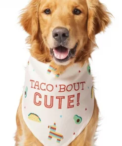 Frisco Taco 'Bout Cute Dog & Cat Bandana -The Frisco Store 249287 PT2. SY630 V1637727457