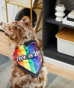 Frisco Love is Love Heart Dog & Cat Bandana -The Frisco Store 249289 PT4. SY630 V1637686392