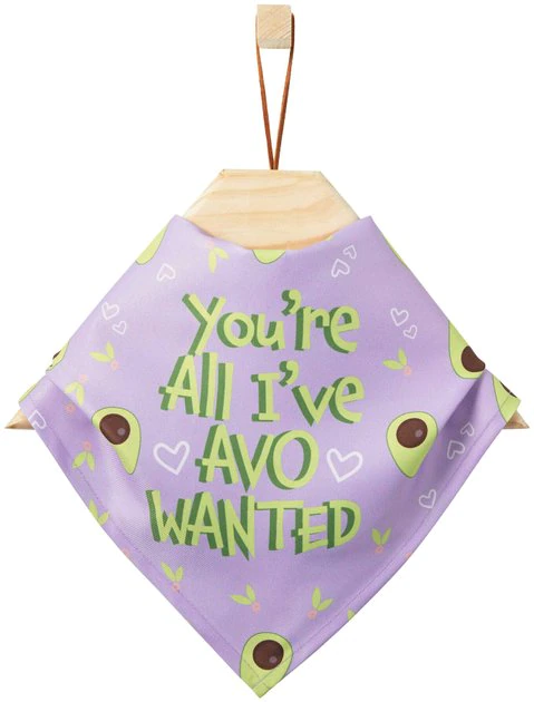 Frisco You're All I've Avo Wanted Dog & Cat Bandana 3 Frisco You're All I've Avo Wanted Dog & Cat Bandana