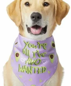 Frisco You're All I've Avo Wanted Dog & Cat Bandana 10 Frisco You're All I've Avo Wanted Dog & Cat Bandana -The Frisco Store 249292 PT2. SY630 V1637723806