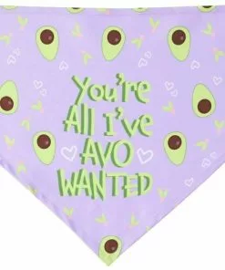 Frisco You're All I've Avo Wanted Dog & Cat Bandana 11 Frisco You're All I've Avo Wanted Dog & Cat Bandana -The Frisco Store 249292 PT3. SY630 V1637705814