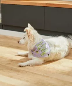 Frisco You're All I've Avo Wanted Dog & Cat Bandana 12 Frisco You're All I've Avo Wanted Dog & Cat Bandana -The Frisco Store 249292 PT4. SY630 V1637644623