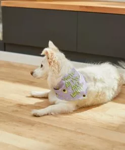 Frisco You're All I've Avo Wanted Dog & Cat Bandana 13 Frisco You're All I've Avo Wanted Dog & Cat Bandana -The Frisco Store 249292 PT5. SY630 V1614657706