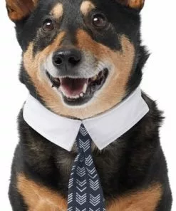 Frisco Boho Dog & Cat Neck Tie