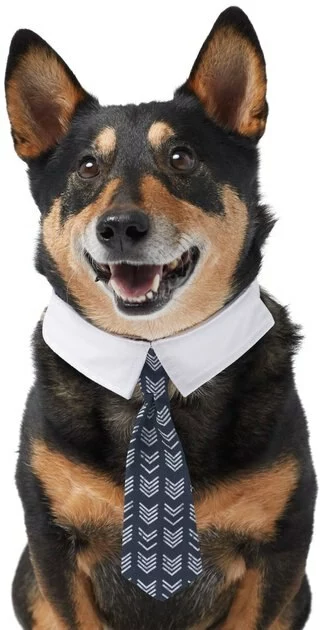 Frisco Boho Dog & Cat Neck Tie 3 Frisco Boho Dog & Cat Neck Tie