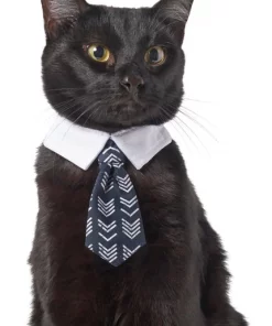 Frisco Boho Dog & Cat Neck Tie 9 Frisco Boho Dog & Cat Neck Tie -The Frisco Store 249307 PT2. SY630 V1614274579