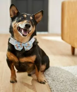 Frisco Nautical Anchor Dog & Cat Bow Tie -The Frisco Store 249322 PT7. SY630 V1614274594