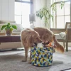 Frisco Round Collapsible Pet Toy Storage Bin, Yellow Geometric 2 Frisco Round Collapsible Pet Toy Storage Bin, Yellow Geometric -The Frisco Store 250587 MAIN. SY630 V1615242941