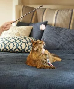 Frisco Baseball Teaser Cat Toy 7 Frisco Baseball Teaser Cat Toy -The Frisco Store 252736 PT5. SY630 V1615814597