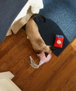 Frisco Baseball Snacks Cat Toy, 2 count -The Frisco Store 252738 PT5. SY630 V1615814603