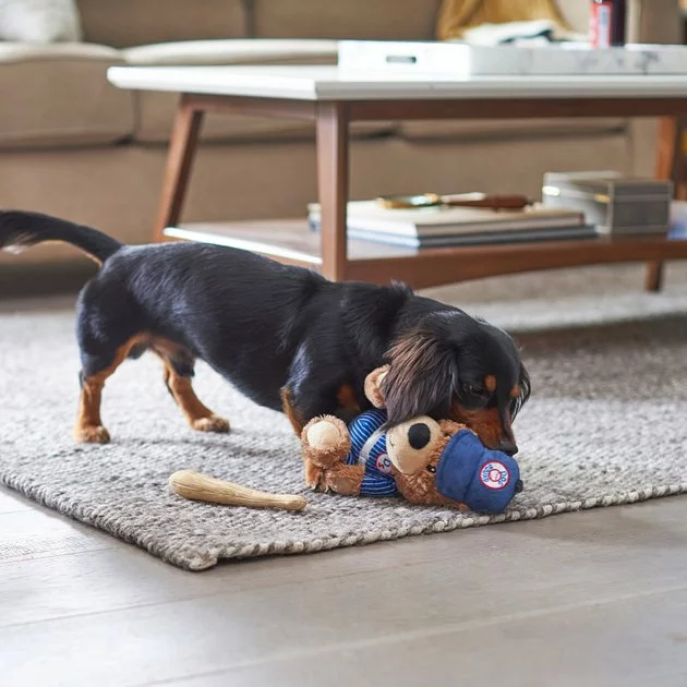 Frisco Baseball Bear Plush Squeaky Dog Toy, Blue 6 Frisco Baseball Bear Plush Squeaky Dog Toy, Blue - Image 4