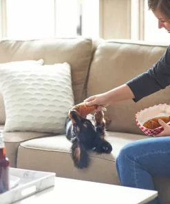 Frisco Baseball Hide-and-Seek Corndog Dog Toy -The Frisco Store 252746 PT5. SY630 V1615814528