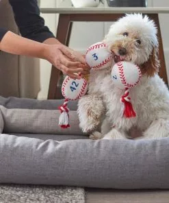 Frisco Baseball Plush with Rope Dog Toy -The Frisco Store 252752 PT5. SY630 V1615814573