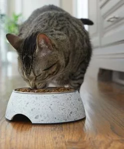 Frisco Quartz Design Stainless Steel Dog & Cat Bowl -The Frisco Store 253042 PT2. SY630 V1616594192