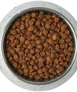 Frisco Quartz Design Stainless Steel Dog & Cat Bowl -The Frisco Store 253042 PT5. SY630 V1616526809
