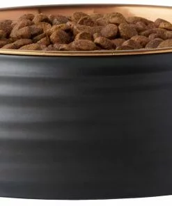 Frisco Matte Black Design Light Copper Stainless Steel Dog & Cat Bowl -The Frisco Store 253050 PT3. SY630 V1616526422