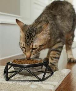 Frisco Elevated Stainless Steel Dog & Cat Bowl with Metal Stand 12 Frisco Elevated Stainless Steel Dog & Cat Bowl with Metal Stand -The Frisco Store 253054 PT2. SY630 V1616594197