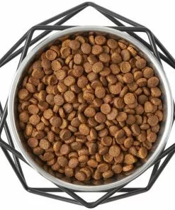 Frisco Elevated Stainless Steel Dog & Cat Bowl with Metal Stand 15 Frisco Elevated Stainless Steel Dog & Cat Bowl with Metal Stand -The Frisco Store 253054 PT5. SY630 V1616595535