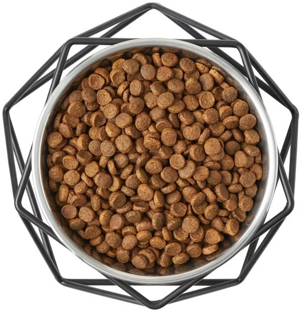 Frisco Elevated Stainless Steel Dog & Cat Bowl with Metal Stand 8 Frisco Elevated Stainless Steel Dog & Cat Bowl with Metal Stand - Image 6
