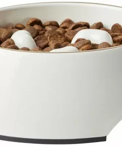 Frisco Melamine Slow Feed Dog & Cat Bowl with Gold Trim, Cream -The Frisco Store 253067 PT3. SY630 V1615312295