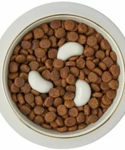 Frisco Melamine Slow Feed Dog & Cat Bowl with Gold Trim, Cream -The Frisco Store 253067 PT5. SY630 V1615310813
