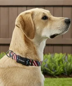 Frisco American Flag Dog Leash & Frisco American Flag Dog Collar -The Frisco Store 255453 PT4. SY630 V1602706576
