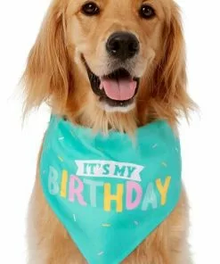 Frisco Birthday Cake Dog & Cat Hat & Frisco Dog & Cat Birthday Bandana -The Frisco Store 255463 PT3. SY630 V1603716088