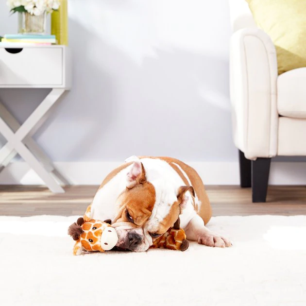 Frisco||True Chews Frisco Bungee Plush Squeaking Giraffe Dog Toy & True Chews Premium Chicken Pot Pie Recipe Dog Treats 5 Frisco||True Chews Frisco Bungee Plush Squeaking Giraffe Dog Toy & True Chews Premium Chicken Pot Pie Recipe Dog Treats - Image 3