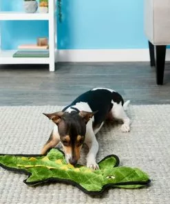 Frisco Flat Plush Squeaking Alligator Dog Toy, Medium & Frisco Flat Plush Squeaking Raccoon Dog Toy, Medium -The Frisco Store 255471 PT2. SY630 V1602691584