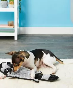 Frisco Flat Plush Squeaking Alligator Dog Toy, Medium & Frisco Flat Plush Squeaking Raccoon Dog Toy, Medium -The Frisco Store 255471 PT4. SY630 V1602691287