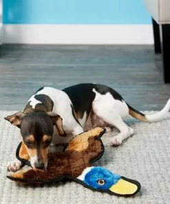 Frisco||Virbac Frisco Flat Plush Squeaking Duck Dog Toy & Virbac C.E.T. Enzymatic Dog & Cat Vanilla-Mint Flavor Toothpaste -The Frisco Store 255473 PT2. SY630 V1616428593